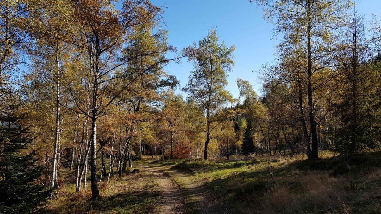 Podbucznik 1 Pilsko Targoszow