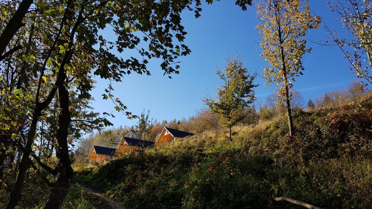 Chalet Podbucznik 1 Pilsko Targoszow