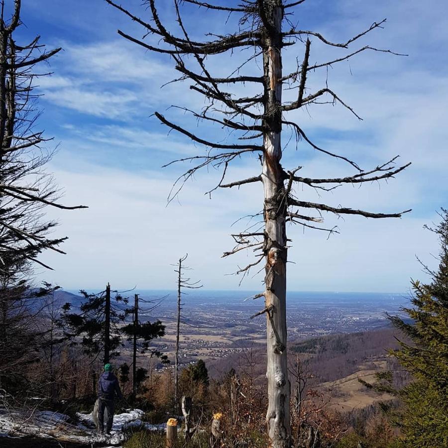 Podbucznik 1 Pilsko Domek alpejski Targoszow