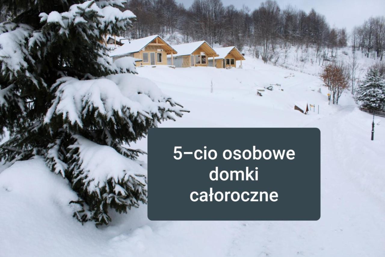 Podbucznik 1 Pilsko Chalet *