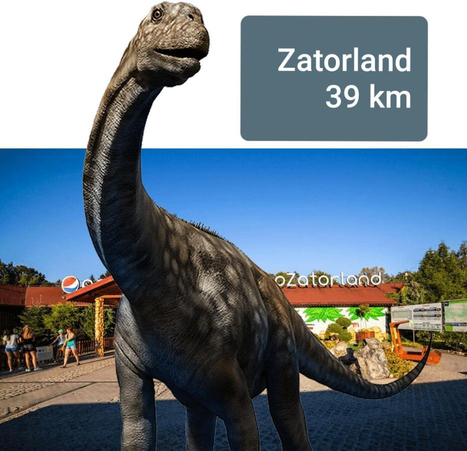 Podbucznik 1 Pilsko Domek alpejski Targoszow